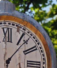 Wooden Watch